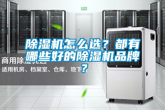 除濕機怎么選？都有哪些好的除濕機品牌？