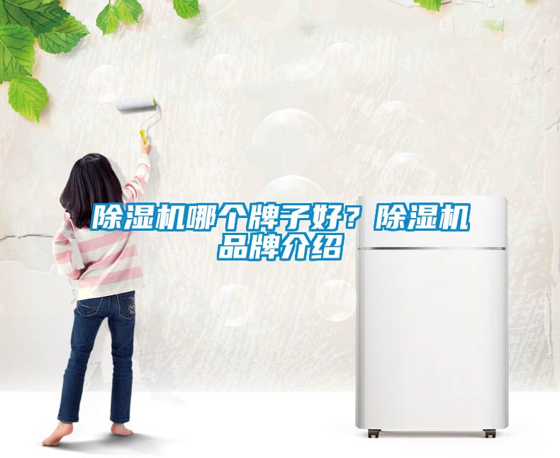 除濕機哪個牌子好？除濕機品牌介紹