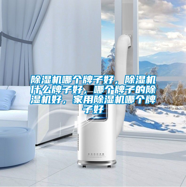 除濕機(jī)哪個(gè)牌子好，除濕機(jī)什么牌子好，哪個(gè)牌子的除濕機(jī)好，家用除濕機(jī)哪個(gè)牌子好