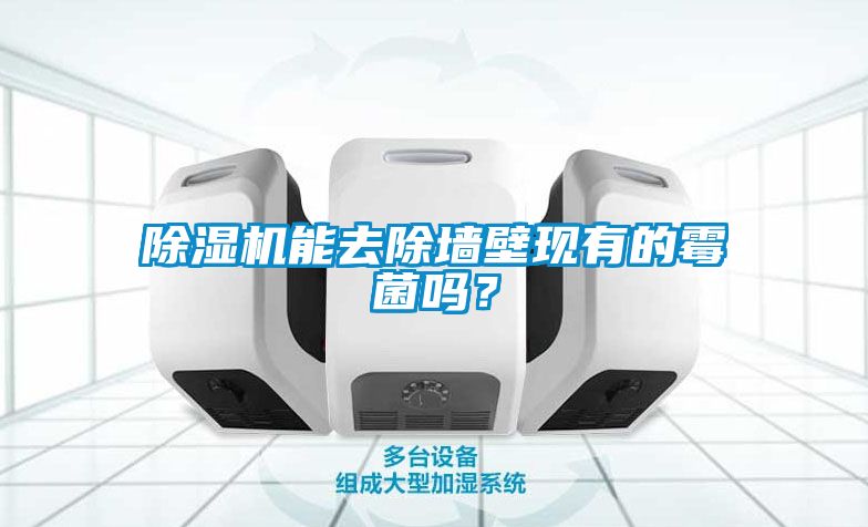 除濕機能去除墻壁現(xiàn)有的霉菌嗎？
