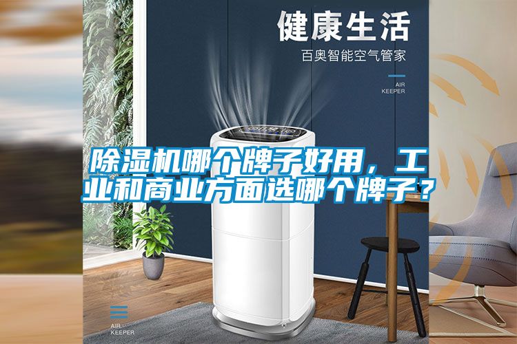 除濕機(jī)哪個(gè)牌子好用，工業(yè)和商業(yè)方面選哪個(gè)牌子？