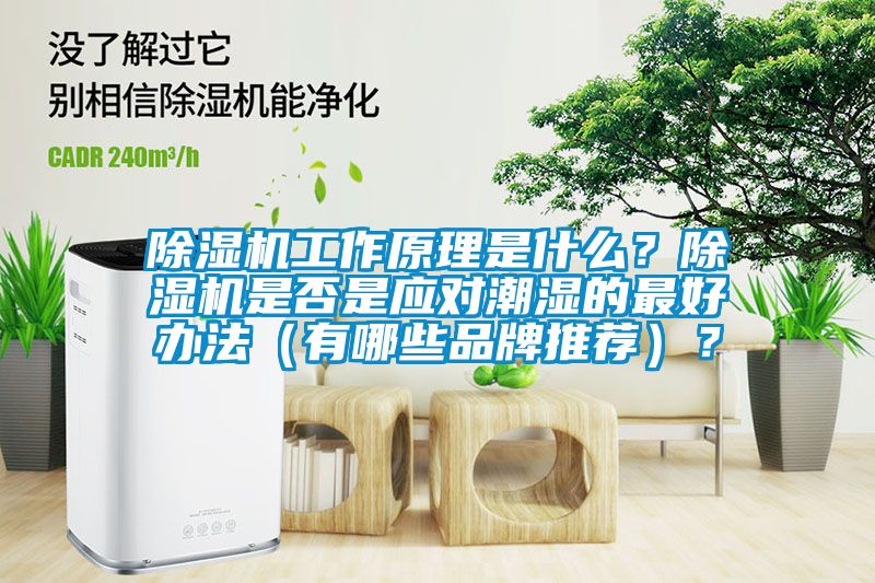 除濕機(jī)工作原理是什么？除濕機(jī)是否是應(yīng)對潮濕的最好辦法（有哪些品牌推薦）？