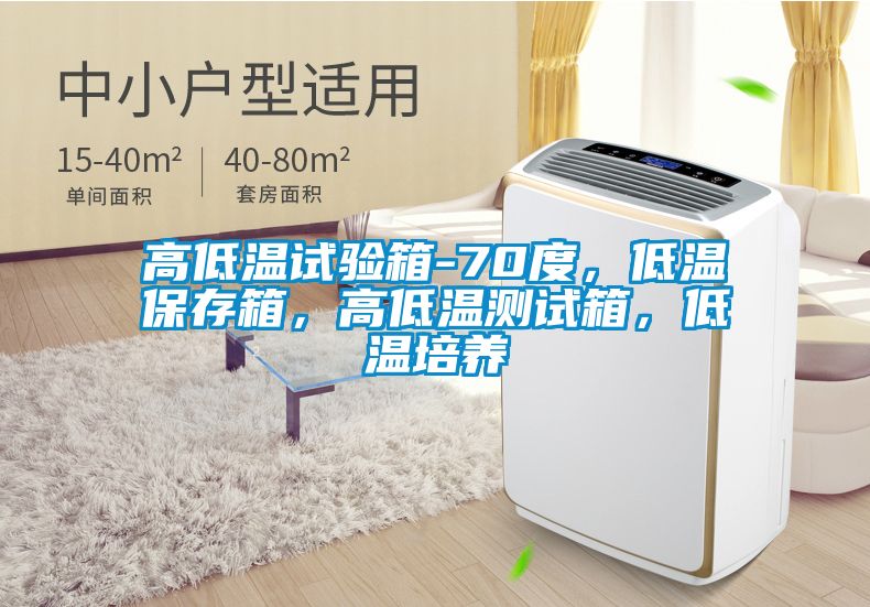 高低溫試驗(yàn)箱-70度，低溫保存箱，高低溫測(cè)試箱，低溫培養(yǎng)