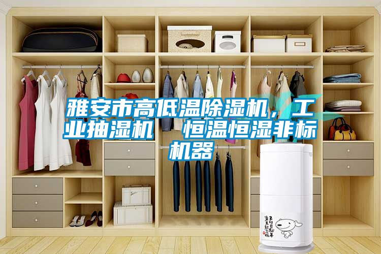 雅安市高低溫除濕機，工業(yè)抽濕機  恒溫恒濕非標機器