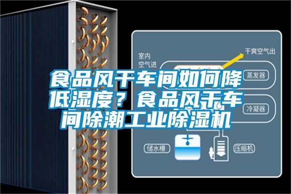 食品風(fēng)干車間如何降低濕度？食品風(fēng)干車間除潮工業(yè)除濕機(jī)
