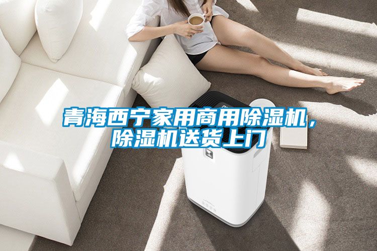 青海西寧家用商用除濕機，除濕機送貨上門