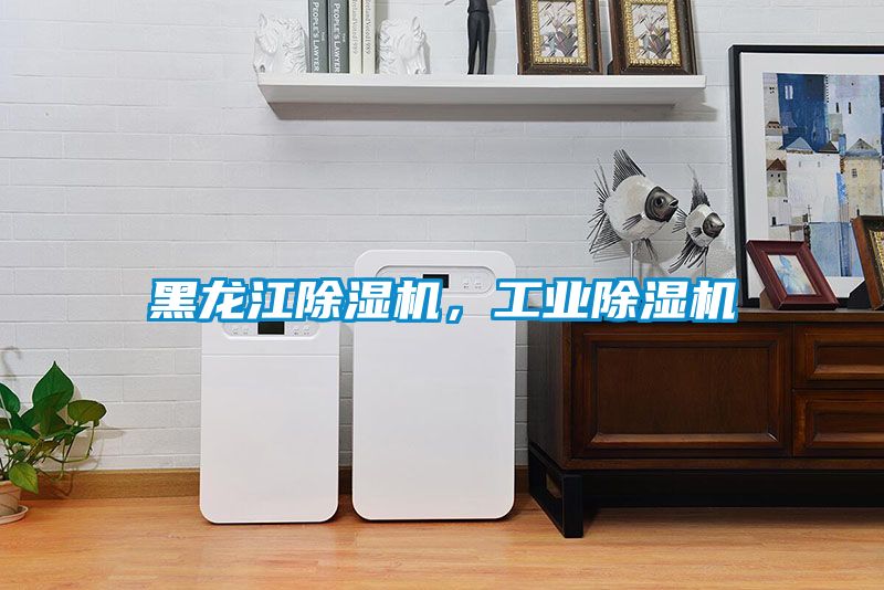黑龍江除濕機(jī)，工業(yè)除濕機(jī)