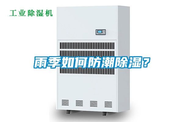雨季如何防潮除濕？