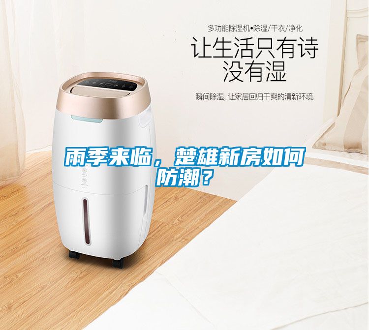 雨季來(lái)臨，楚雄新房如何防潮？