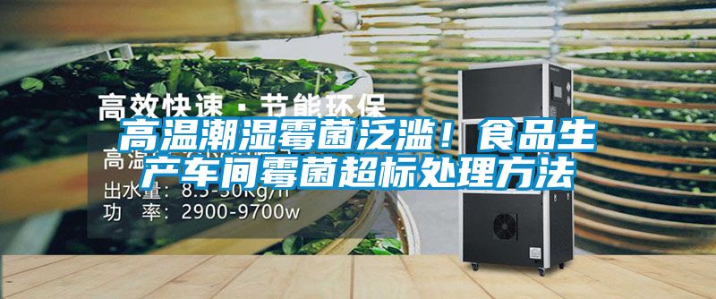 高溫潮濕霉菌泛濫！食品生產(chǎn)車間霉菌超標處理方法