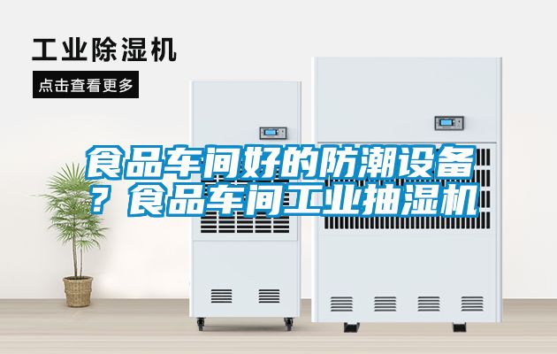 食品車間好的防潮設(shè)備？食品車間工業(yè)抽濕機(jī)