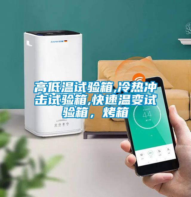 高低溫試驗(yàn)箱,冷熱沖擊試驗(yàn)箱,快速溫變?cè)囼?yàn)箱，烤箱