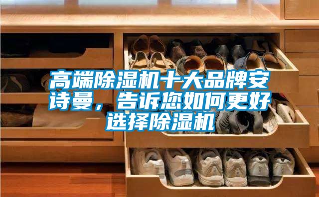 高端除濕機十大品牌安詩曼，告訴您如何更好選擇除濕機