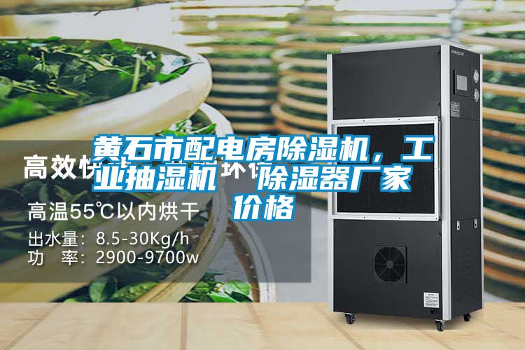 黃石市配電房除濕機(jī)，工業(yè)抽濕機(jī)  除濕器廠家 價(jià)格